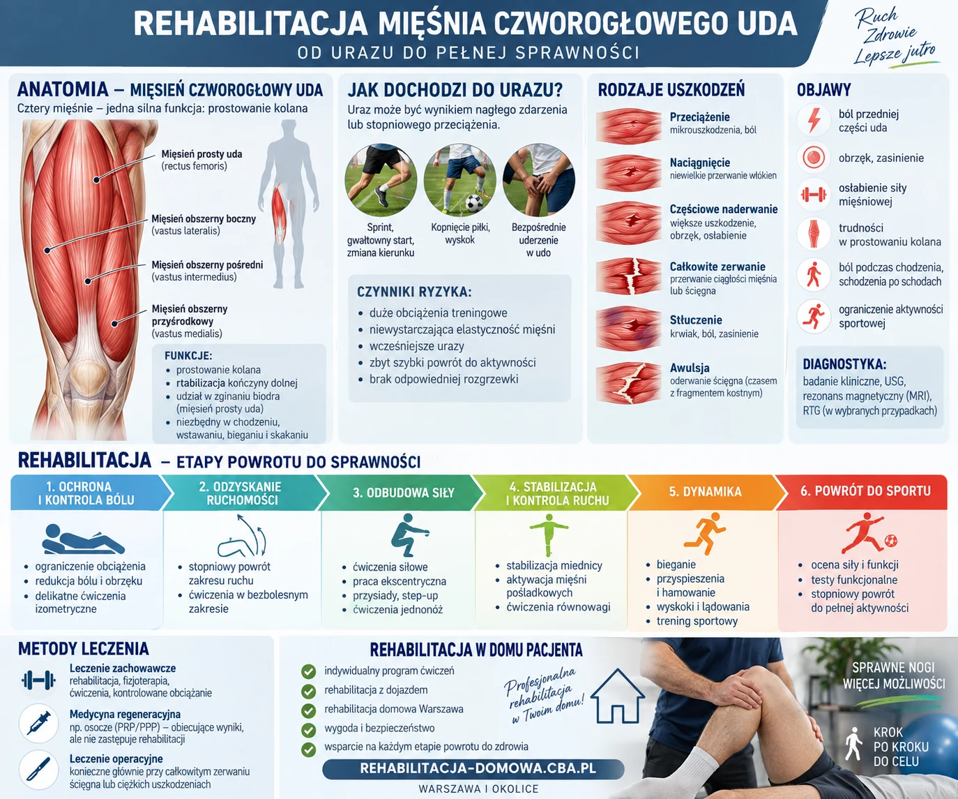 Mięsień czworogłowy uda – anatomia, mechanizmy urazów, objawy i etapy rehabilitacji.